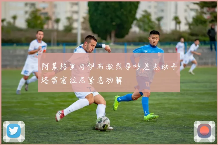 阿莱格里与伊布激烈争吵差点动手塔雷富拉尼紧急劝解